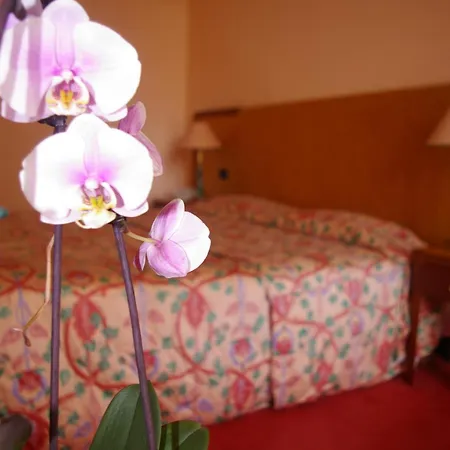 Hotel Aletti Palace 4*