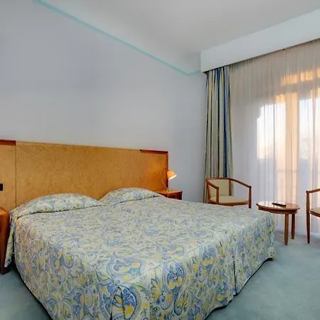 Hotel Aletti Palace Vichy