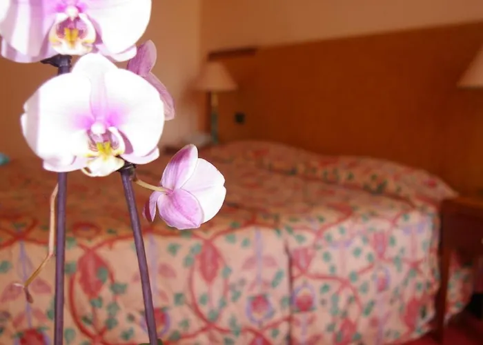 Hotel Aletti Palace 4*